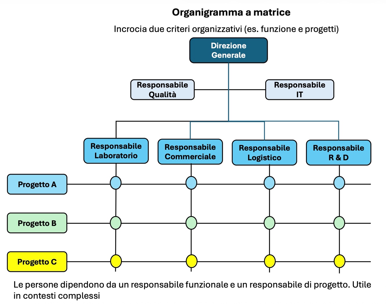 Figura 5
